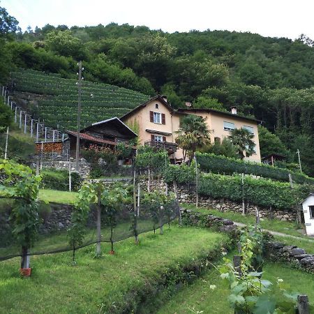 Casa Immersa Nel Vigneto Roveredo Exterior photo