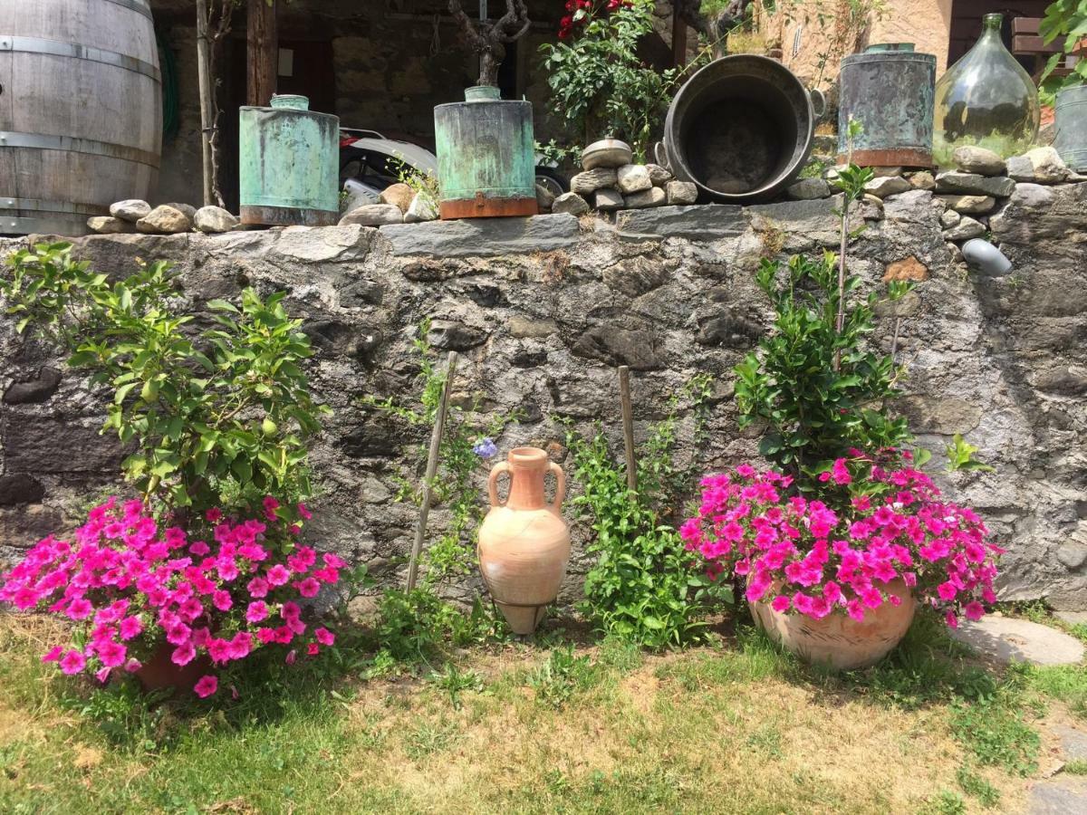 Casa Immersa Nel Vigneto Roveredo Exterior photo
